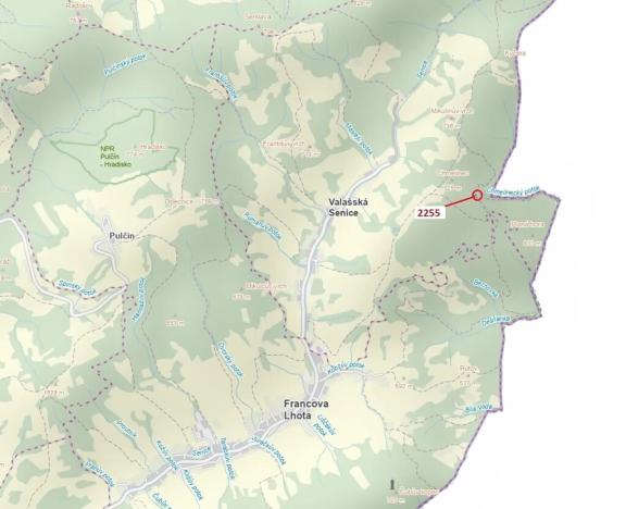 Dražba lesa, Valašská Senice, 917 m2