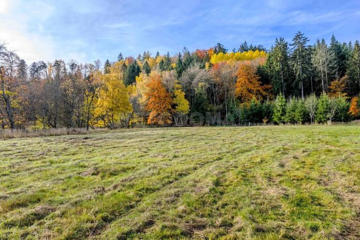 Prodej pozemku pro bydlení, Konstantinovy Lázně, 1931 m2