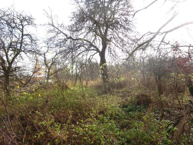 Prodej rodinného domu, Velké Meziříčí - Olší nad Oslavou, 140 m2