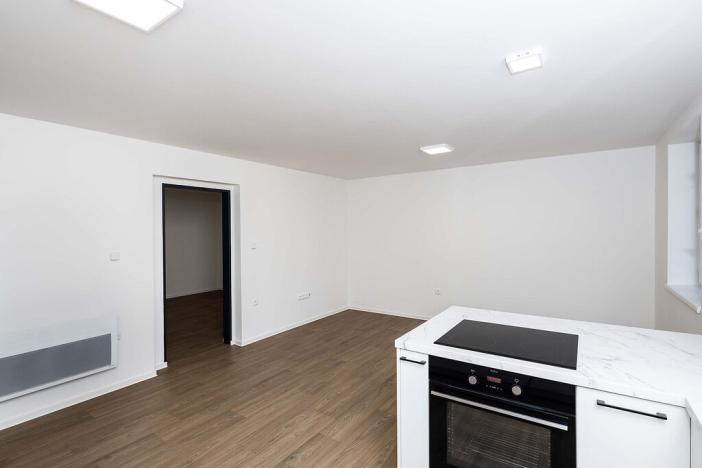 Pronájem bytu 2+kk, Opava - Předměstí, U Hliníku, 46 m2
