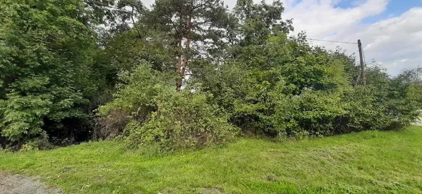 Prodej lesa, Mostkovice, 576 m2