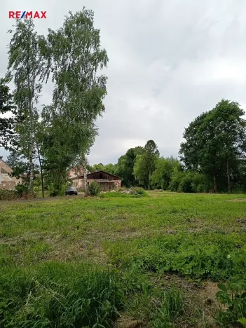 Pronájem pozemku, Zhoř, 4781 m2