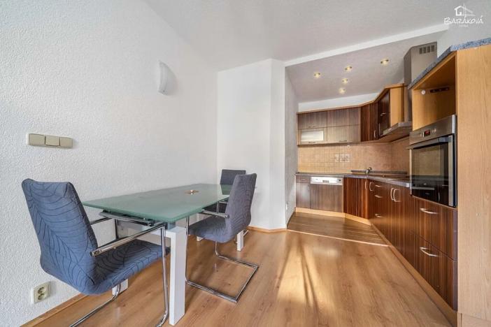 Pronájem bytu 2+kk, Plzeň, Vrchlického, 46 m2