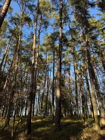 Prodej pozemku, Slabčice, 9236 m2