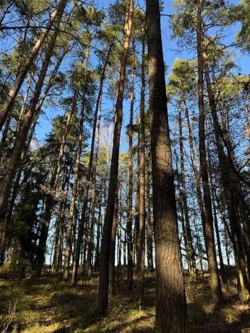 Prodej pozemku, Slabčice, 9236 m2