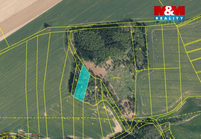 Prodej lesa, Načeradec - Pravětice, 19561 m2