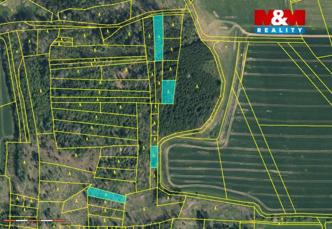 Prodej lesa, Načeradec - Pravětice, 19561 m2