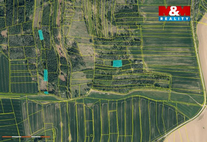 Prodej lesa, Načeradec - Pravětice, 19561 m2