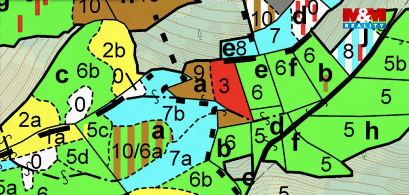 Prodej lesa, Lužná, 5438 m2