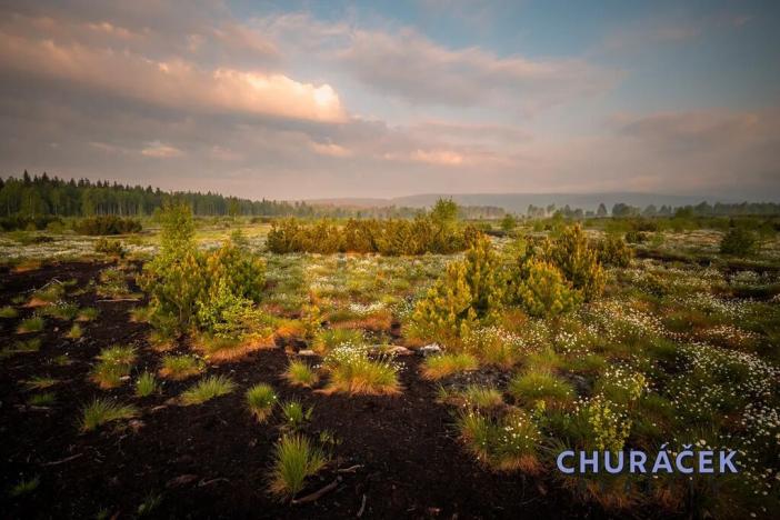 Prodej bytu 2+kk, Abertamy, Plešivecká, 67 m2