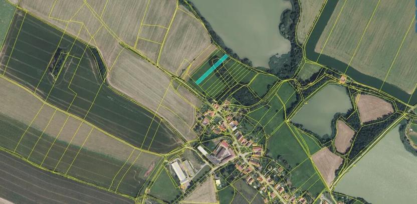 Prodej pole, Horky, 59562 m2