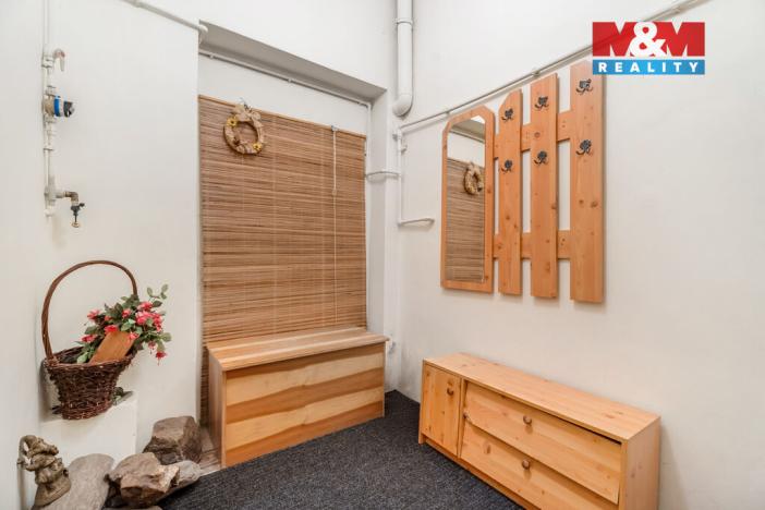 Prodej obchodního prostoru, Ústí nad Labem - Ústí nad Labem-centrum, Masarykova, 48 m2