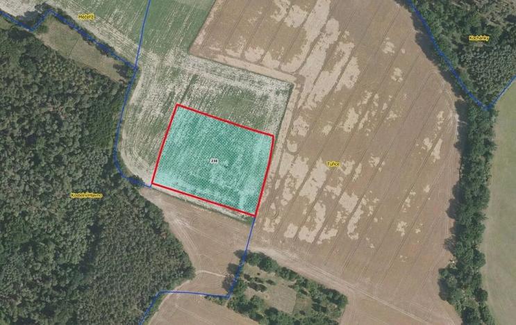 Prodej pole, Tuřice, 13416 m2