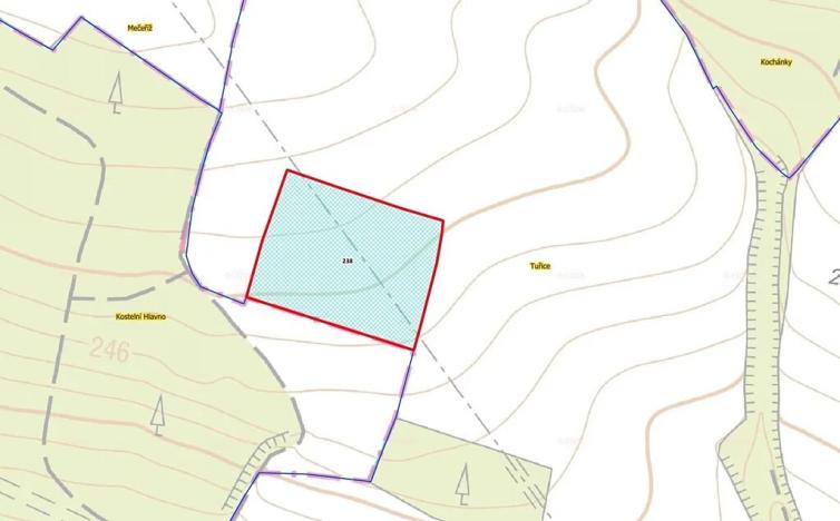 Prodej pole, Tuřice, 13416 m2