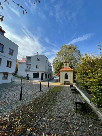 Prodej bytu 5+kk, Praha - Střešovice, Nad hradním vodojemem, 193 m2