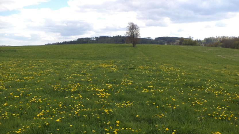 Prodej pozemku, Staré Město - Nová Véska, 10063 m2