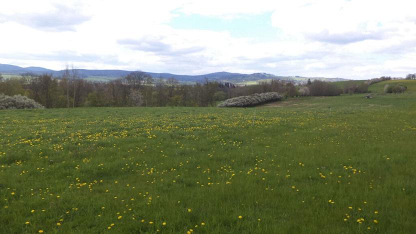 Prodej pozemku, Staré Město - Nová Véska, 10063 m2