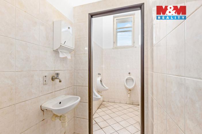 Prodej obchodního prostoru, Žlebské Chvalovice, 280 m2