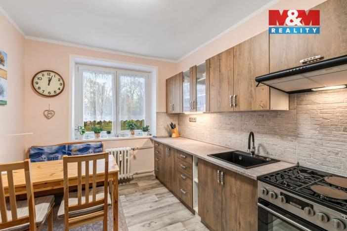 Prodej bytu 2+1, Litvínov - Horní Litvínov, U Zámeckého parku, 58 m2