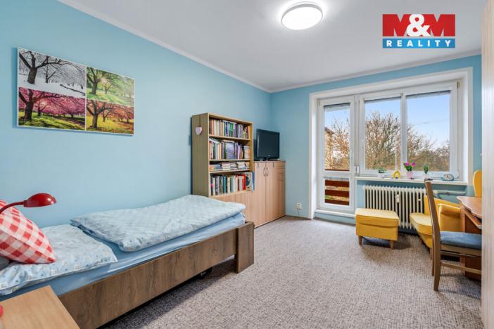 Prodej bytu 2+1, Litvínov - Horní Litvínov, U Zámeckého parku, 58 m2