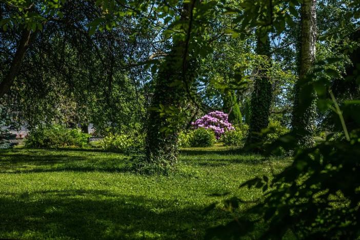 Prodej pozemku pro bydlení, Jirny, Alejka, 5197 m2