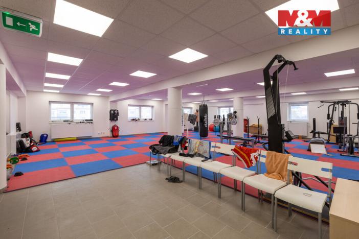 Pronájem kanceláře, Louny, Březinova, 166 m2