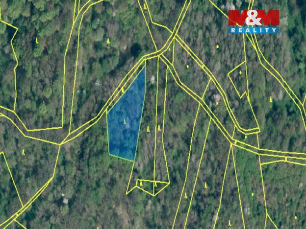 Prodej lesa, Úštěk - Habřina, 13742 m2