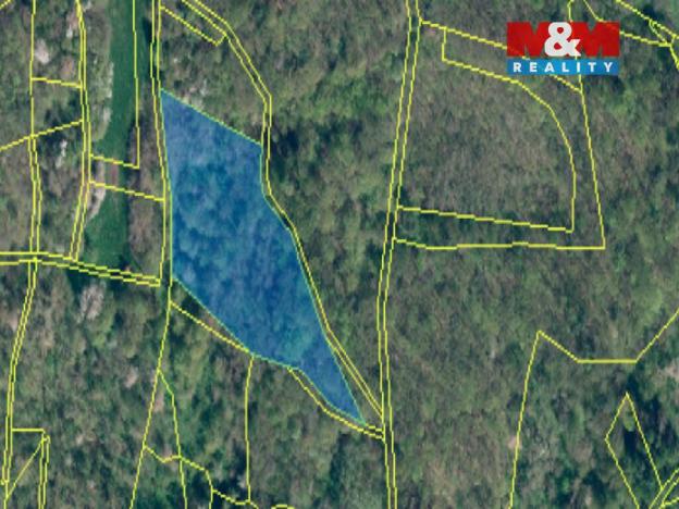 Prodej lesa, Úštěk - Habřina, 23830 m2