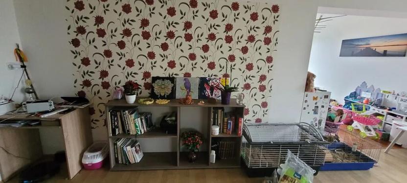 Pronájem bytu 3+1, Vimperk, Brantlova, 222 m2