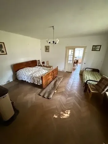 Prodej vícegeneračního domu, Opočnice, 604 m2