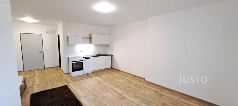 Pronájem bytu 1+kk, Čížová, 29 m2