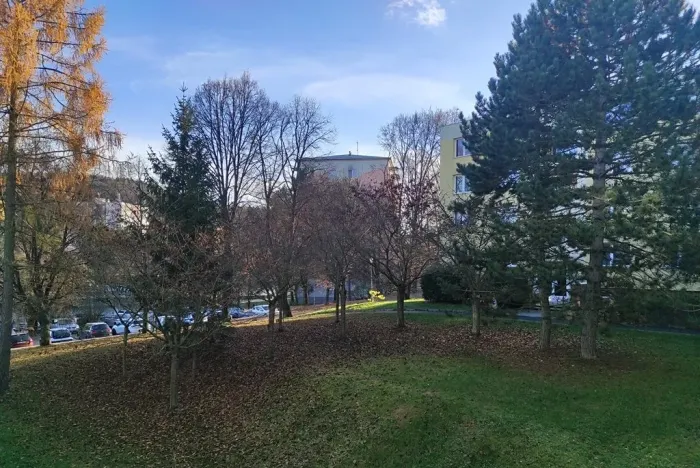 Pronájem bytu 3+1, Brno, Vondrákova, 73 m2