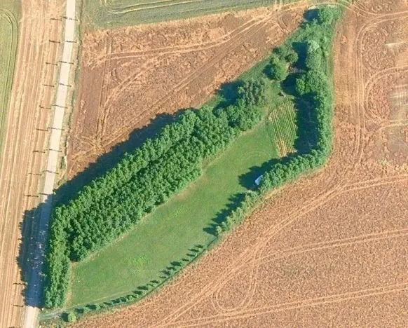 Prodej zahrady, Doubravčice, 7161 m2