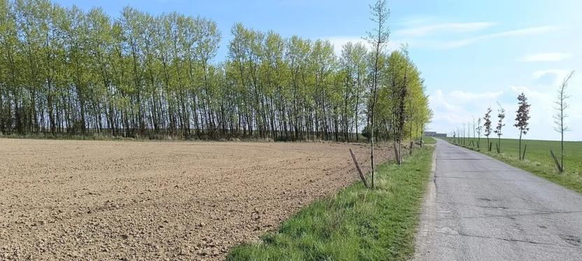 Prodej zahrady, Doubravčice, 7161 m2