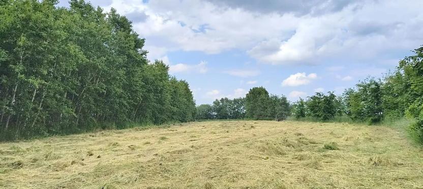 Prodej zahrady, Doubravčice, 7161 m2