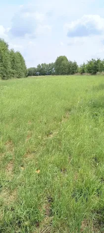 Prodej zahrady, Doubravčice, 7161 m2