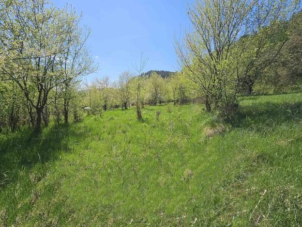 Prodej pozemku pro bydlení, Štěpánov nad Svratkou, 3802 m2