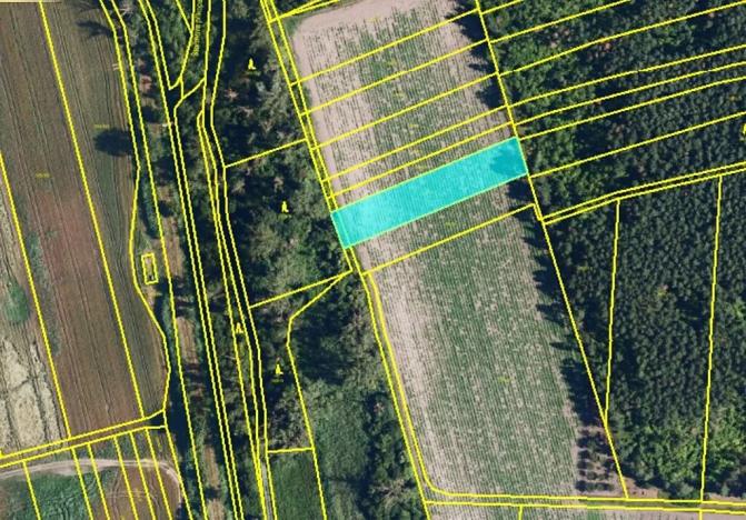 Prodej pole, Podivín, 1723 m2