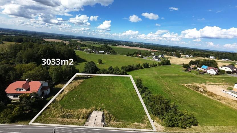 Prodej pozemku, Vyšní Lhoty, 3033 m2