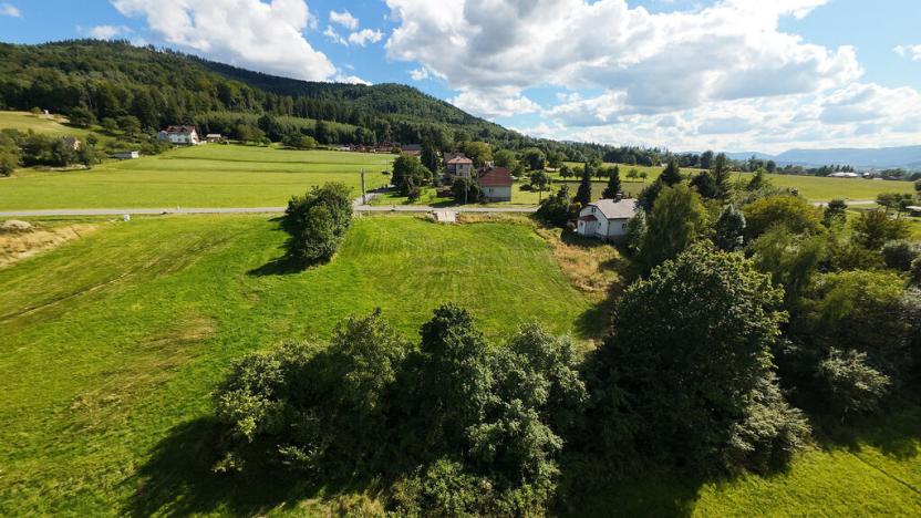 Prodej pozemku, Vyšní Lhoty, 3033 m2