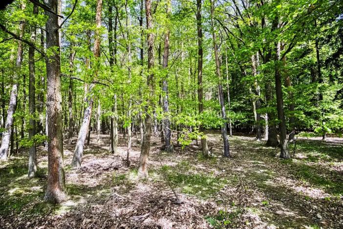 Prodej činžovního domu, Rosovice, 900 m2