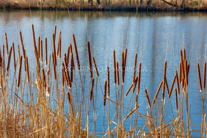 Prodej pozemku pro bydlení, Praha, 6104 m2