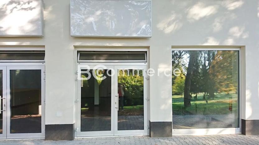 Pronájem obchodního prostoru, Brno, 84 m2