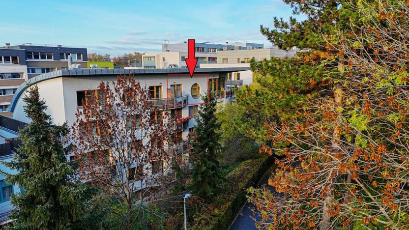 Prodej bytu 2+kk, Praha - Žižkov, Jeseniova, 51 m2