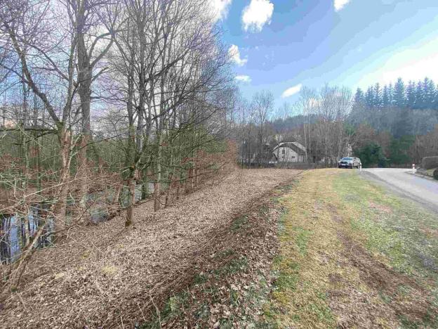 Prodej pozemku, Bartošovice v Orlických horách, 1201 m2