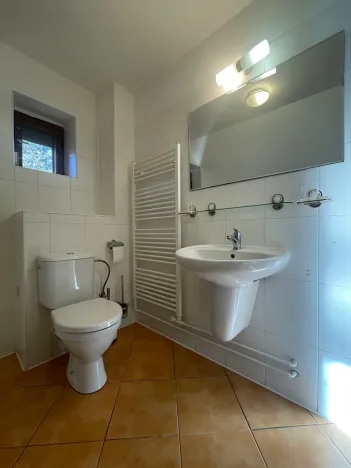 Pronájem rodinného domu, Zvole, 865 m2