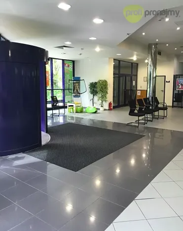 Pronájem obchodního prostoru, Havířov, U Stromovky, 400 m2