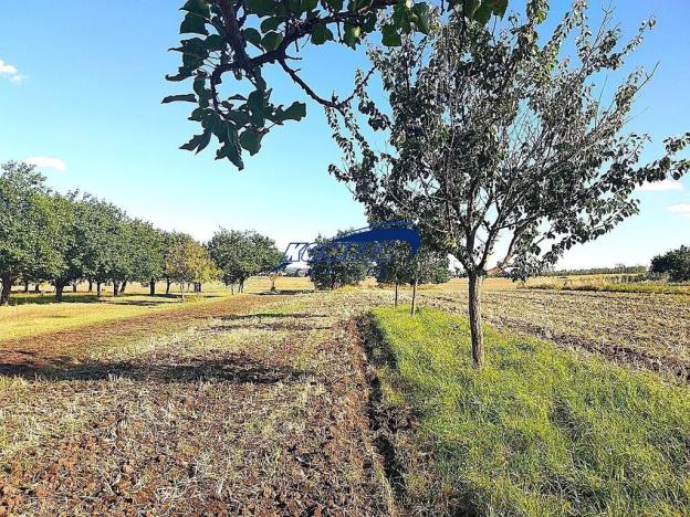 Prodej zahrady, Starovice, 1158 m2