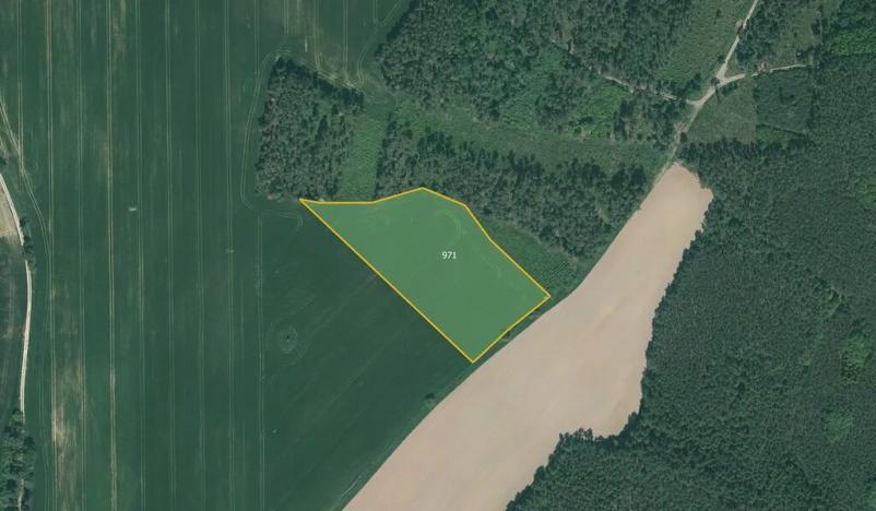 Prodej podílu pole, Poběžovice, 64029 m2