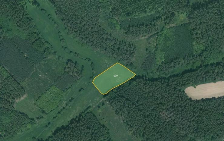 Prodej podílu pole, Poběžovice, 64029 m2